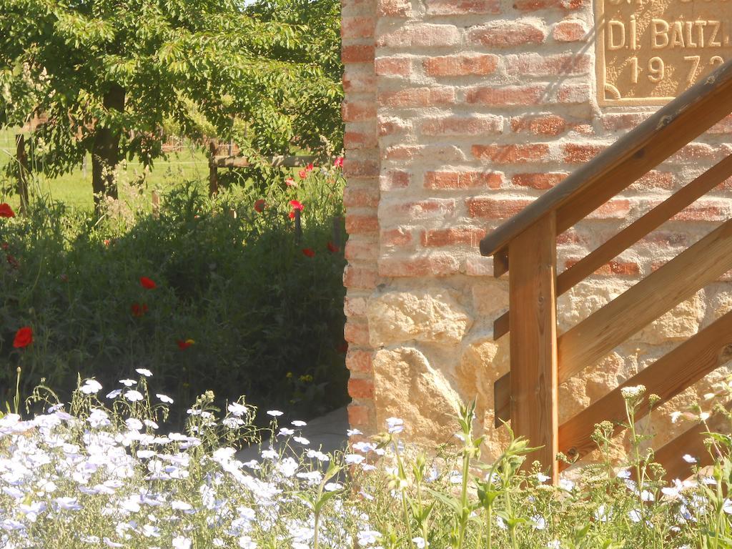 Gite Du Rotenberg Bergheim Exteriör bild